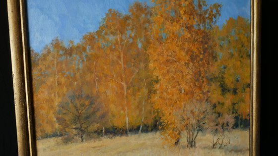 Gold Of Autumn - sunny autumn landscape painting