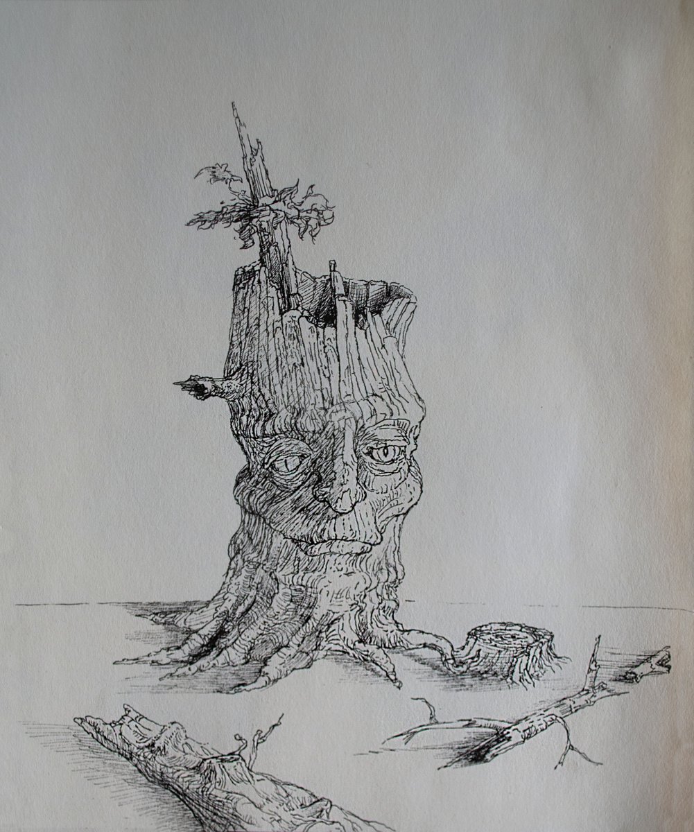 Illustrative Ink Drawing , Treant I By Nikola Ivanovic, 8 X 9, Artwork For Sale On Artfinder