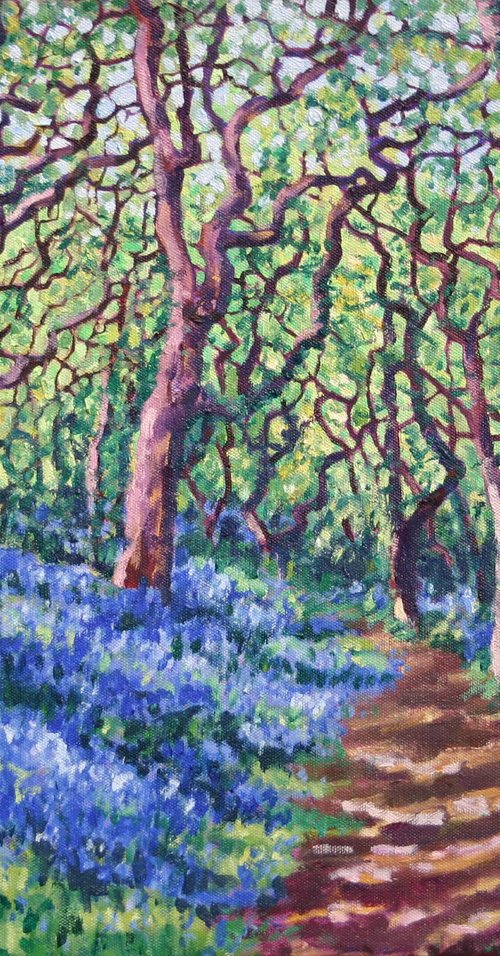 Cornish Bluebells by Zoe Elizabeth Norman