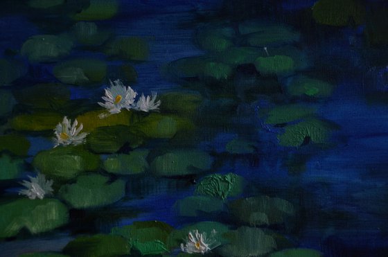 Lily pond. Sleeping