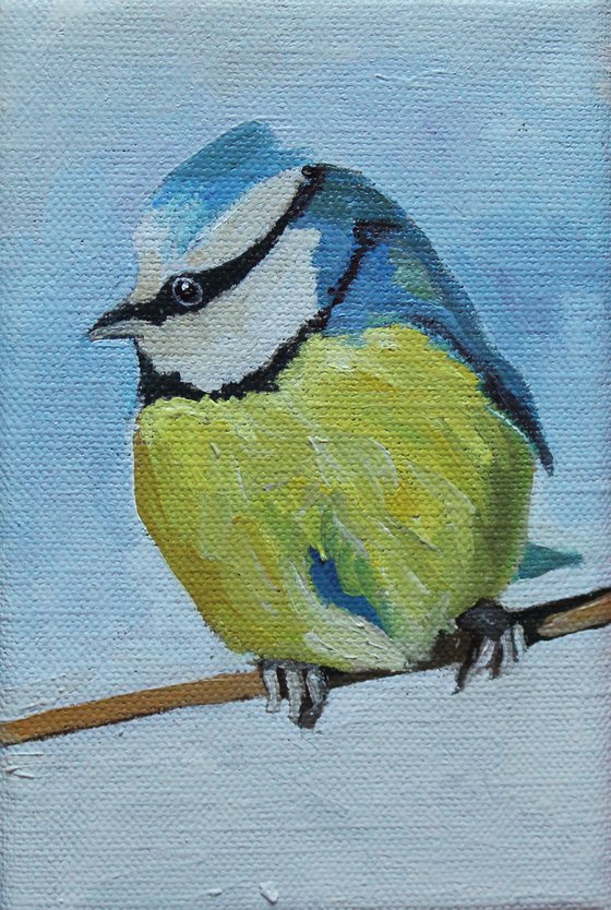 Wee Blue Tit