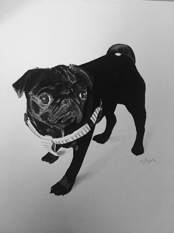 Pug Watercolour Painting