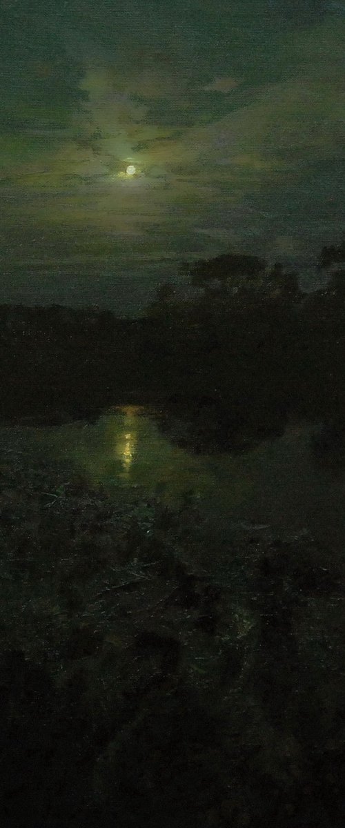 Orel River Night by Denys Gorodnychyi