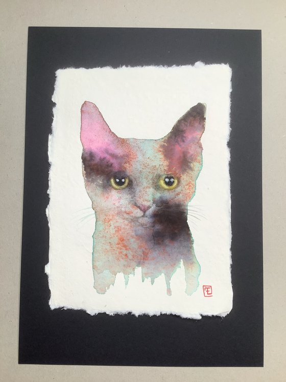 ABSTRACT CAT