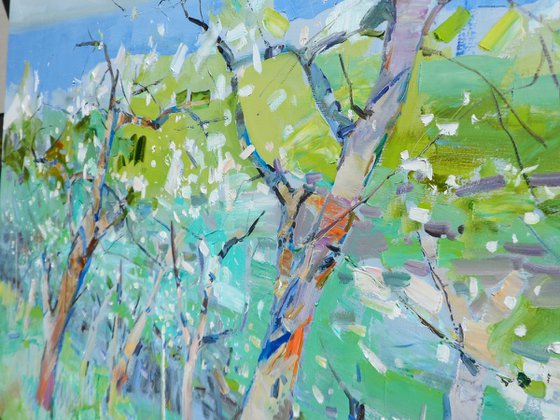 " Apple orchard "