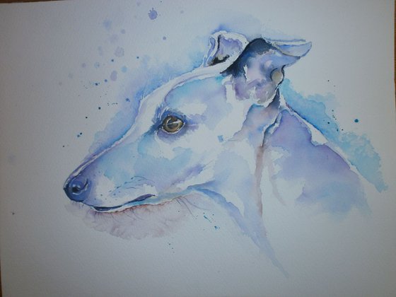 wistful whippet