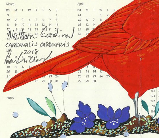 Birds of North America: Cardinal