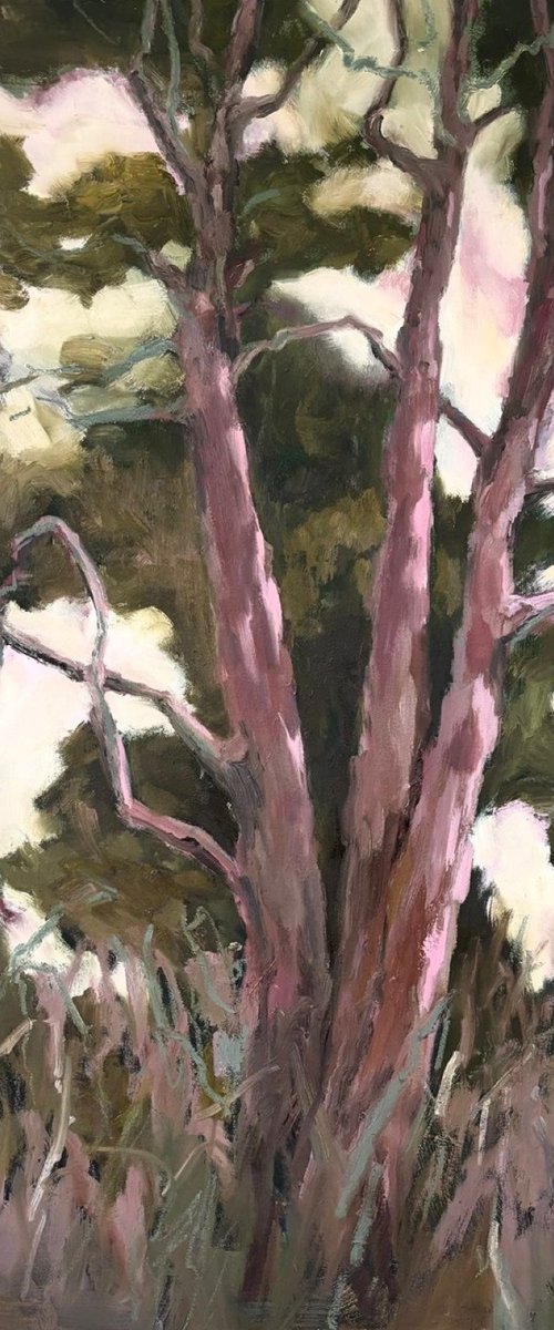 Tranquil Wood by Joanna Farrow