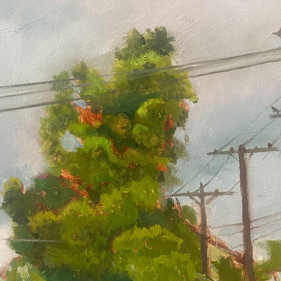Old Neighborhood
