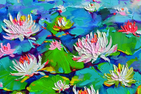 White Water Lilies on the Pond