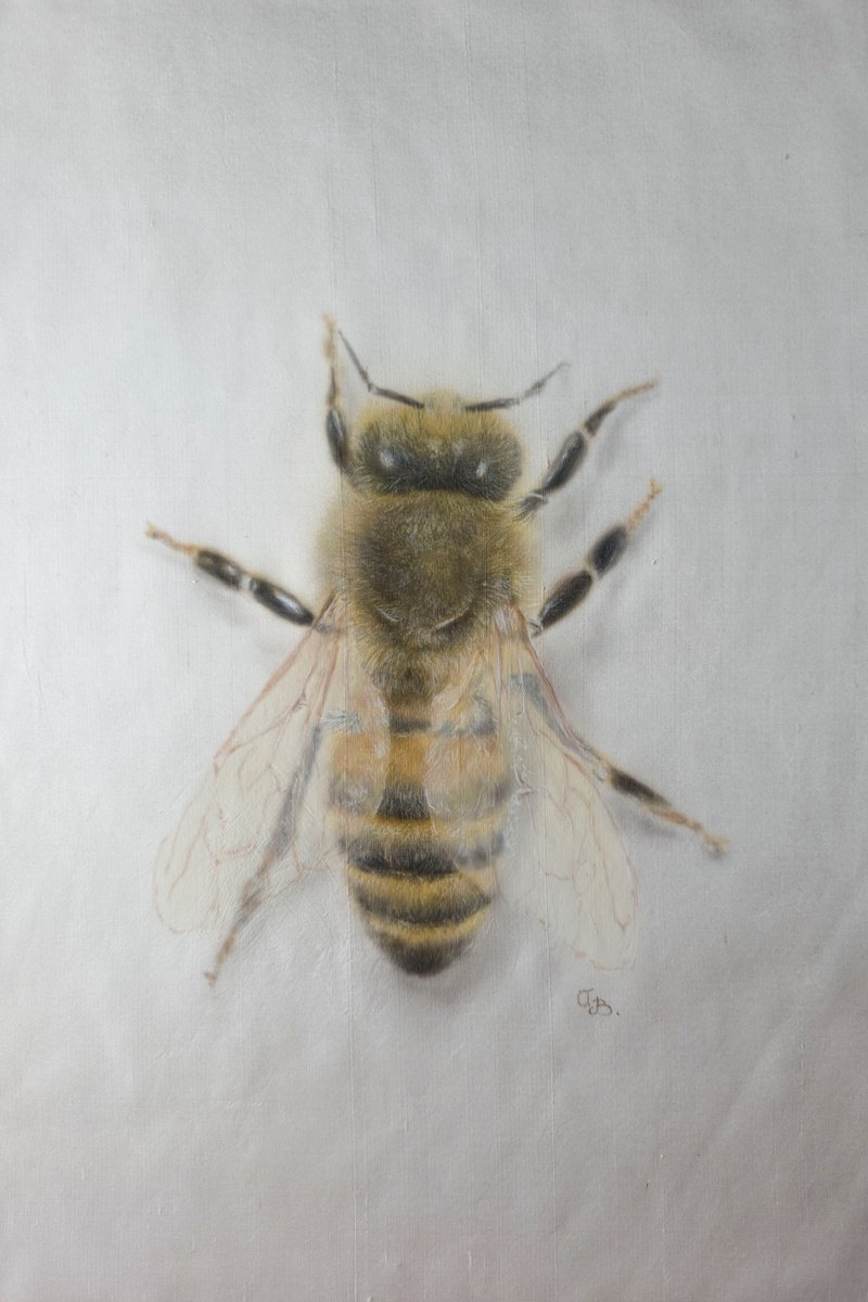 Photorealistic Animal Acrylic Painting By Olga Belova, 8 X 12", Golden Fllight, Original Artwork