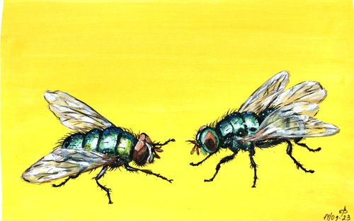 A couple of bottle flies by Lena Smirnova