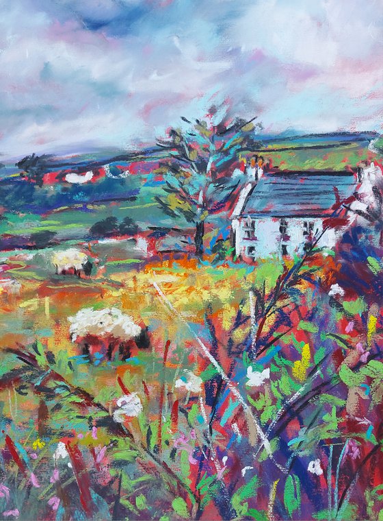 Cottage in West Cork