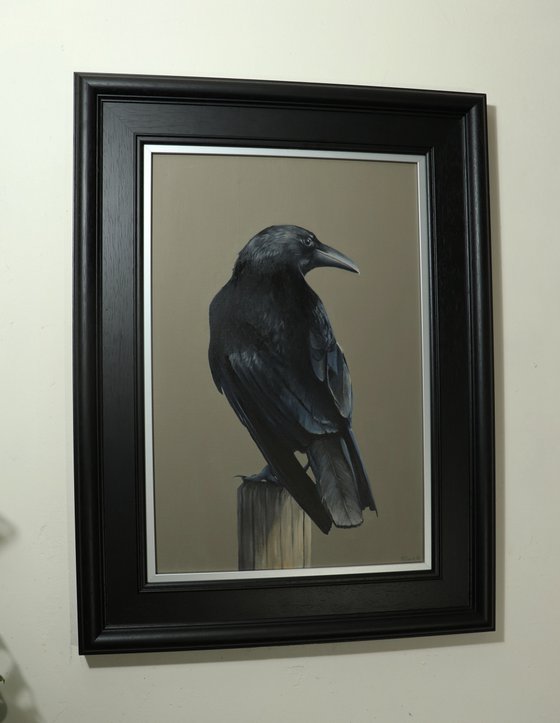 Crow, Portrait of a Black Crows, Oil Painting, Bird Artwork, Animal Art Original, Not Print