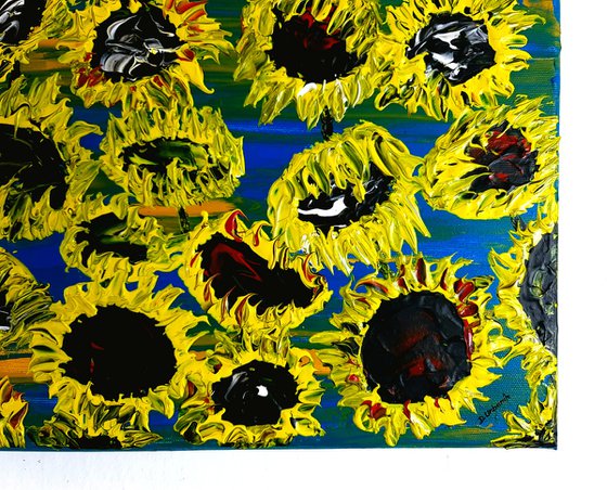 Blooming sunflowers 3