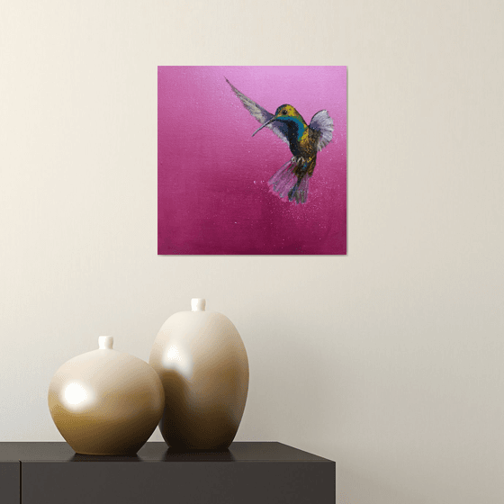 Green-breasted Mango Hummingbird ~ on Metallic Pink