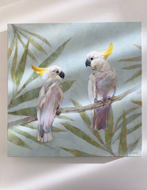 White Cockatoos