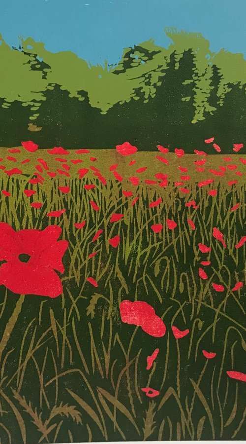 Poppy Field by Roz Howling