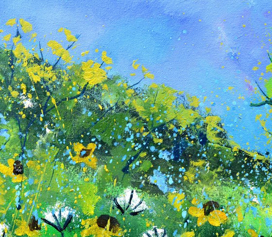 Morning wild flowers