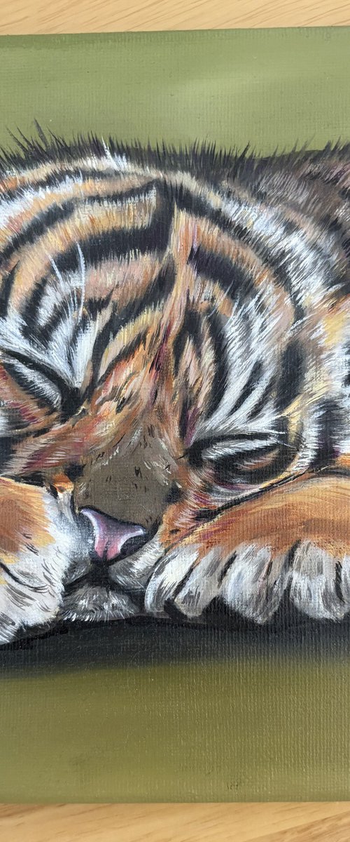 Tiger cub by Bethany Taylor