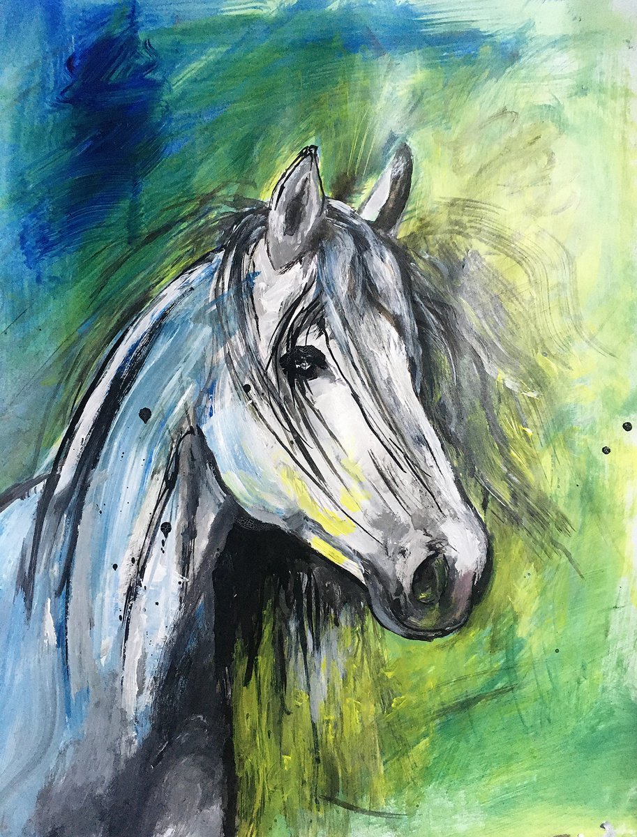 Portrait of a white horse sketch by Rene Goorman