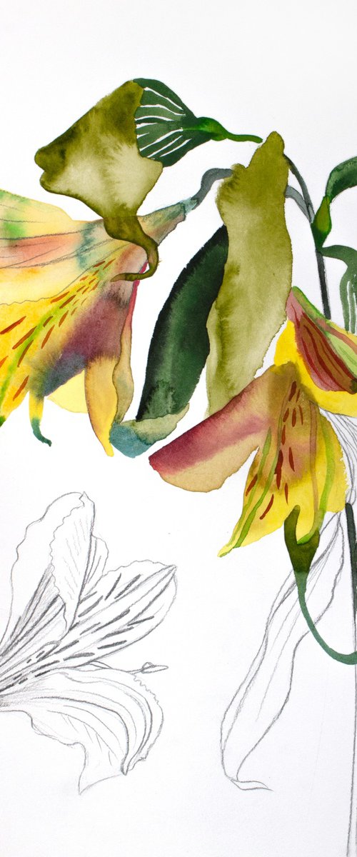 Lilies No. 8 by Elizabeth Becker
