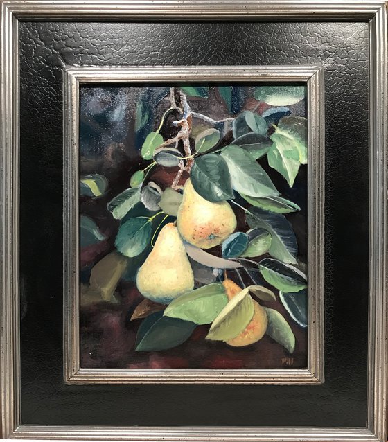 Pears on the Tree (framed)
