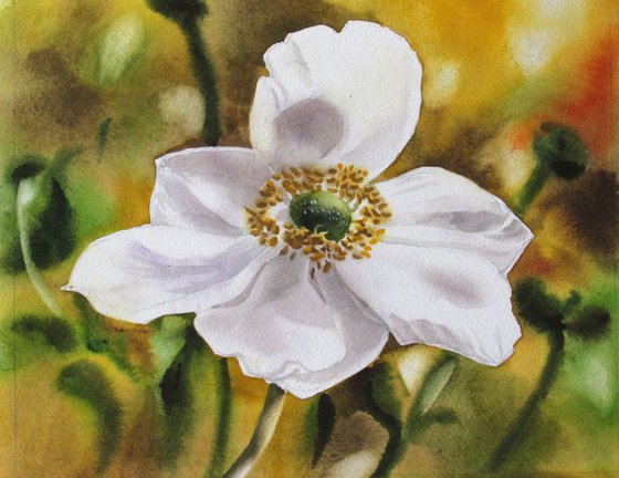 A painting a day #10 "Japanese anemone"