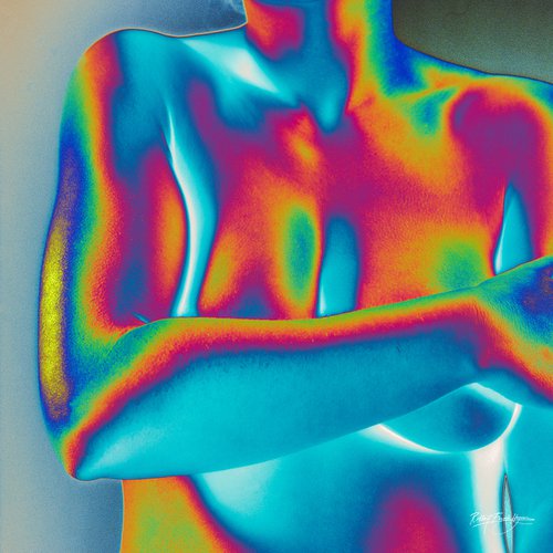 Colorful Nude III by Robbert Frank Hagens