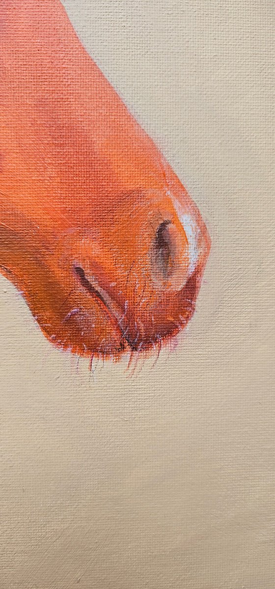 My intrepid orange chestnut unicorn