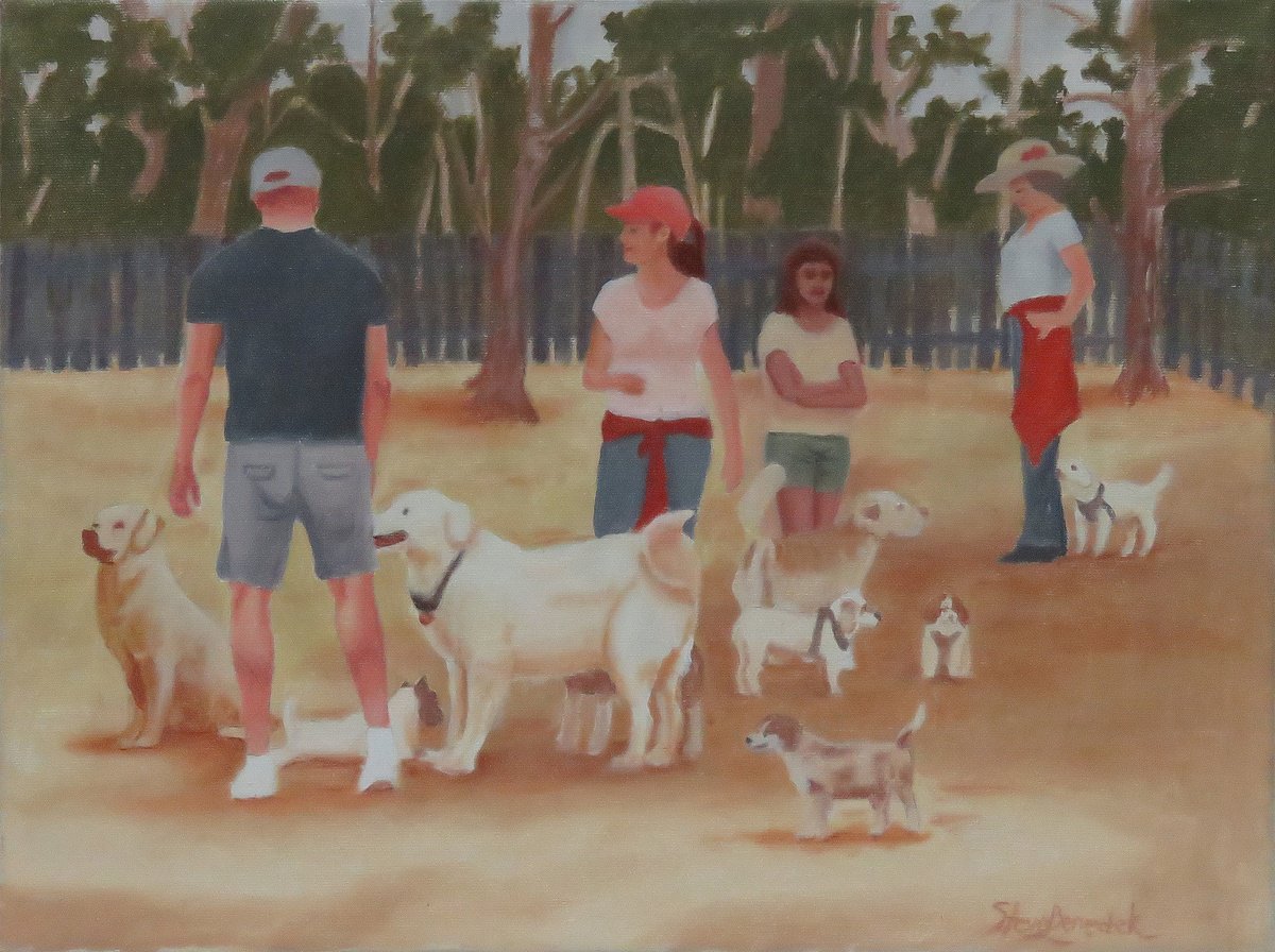 Zorn’s Dog park by Stephen Benedek