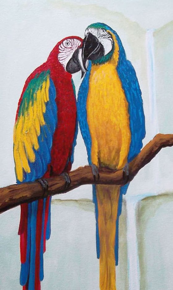 "Love Birds"