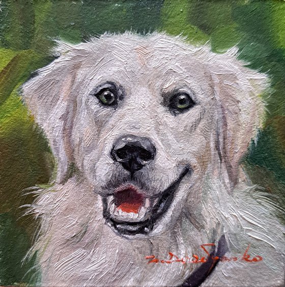 Custom dog portrait