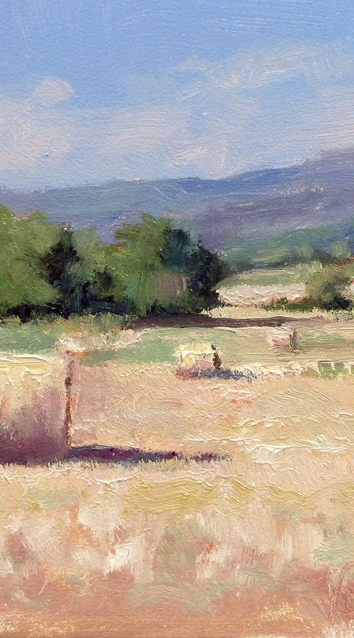 Hay Bales by Pascal Giroud