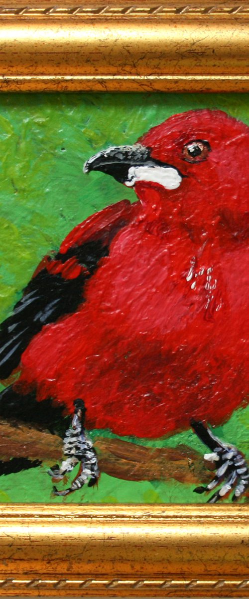 BIRD / framed / FROM MY A SERIES OF MINI WORKS BIRDS / ORIGINAL PAINTING by Salana Art