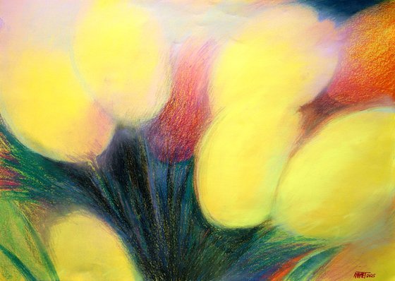 Tulips Yellow