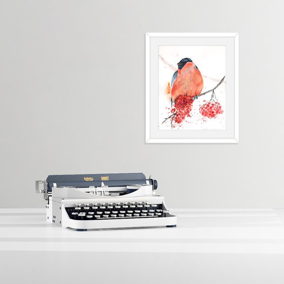 Winter Bullfinch