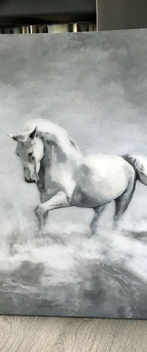 Horse play by Paul Hardern