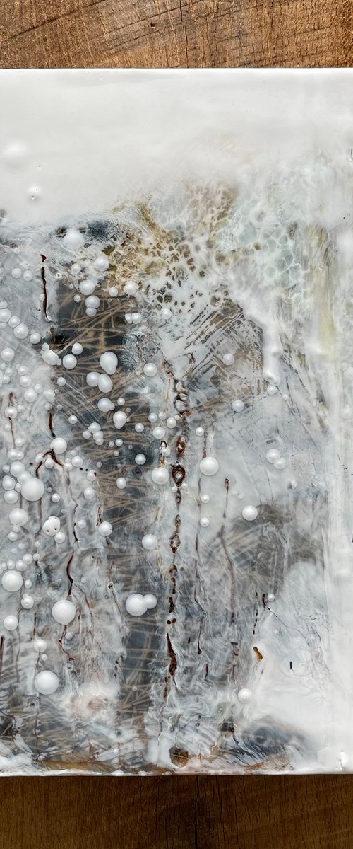 Songs From the Other Side by Tamara Lepianka