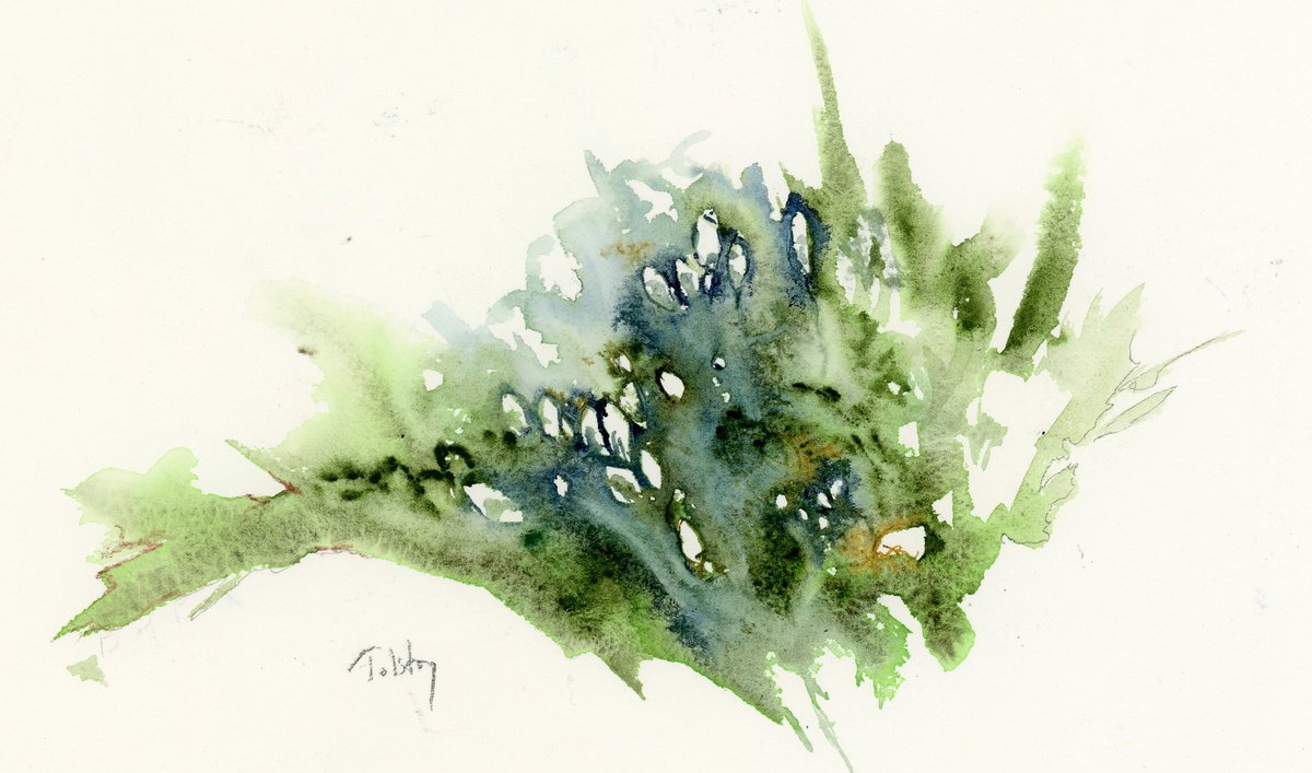 Impressionistic Botanical Watercolour By Alex Tolstoy, 14 X 9, Spray Of White And Green, Original Artwork