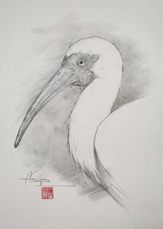 Drawing- Crested Ibis #20902
