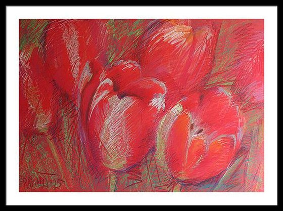 Tulips Red