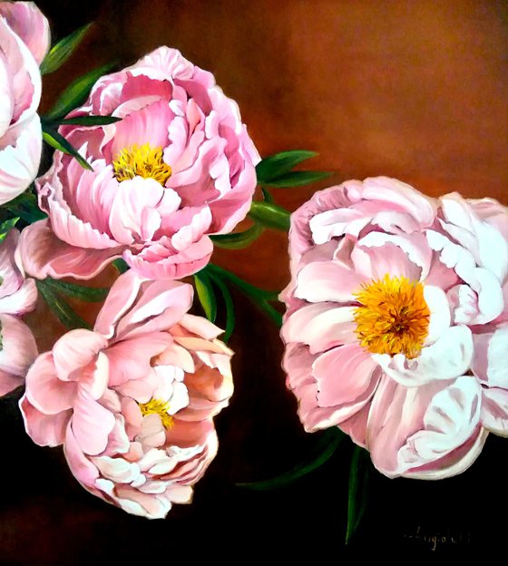 Peonies