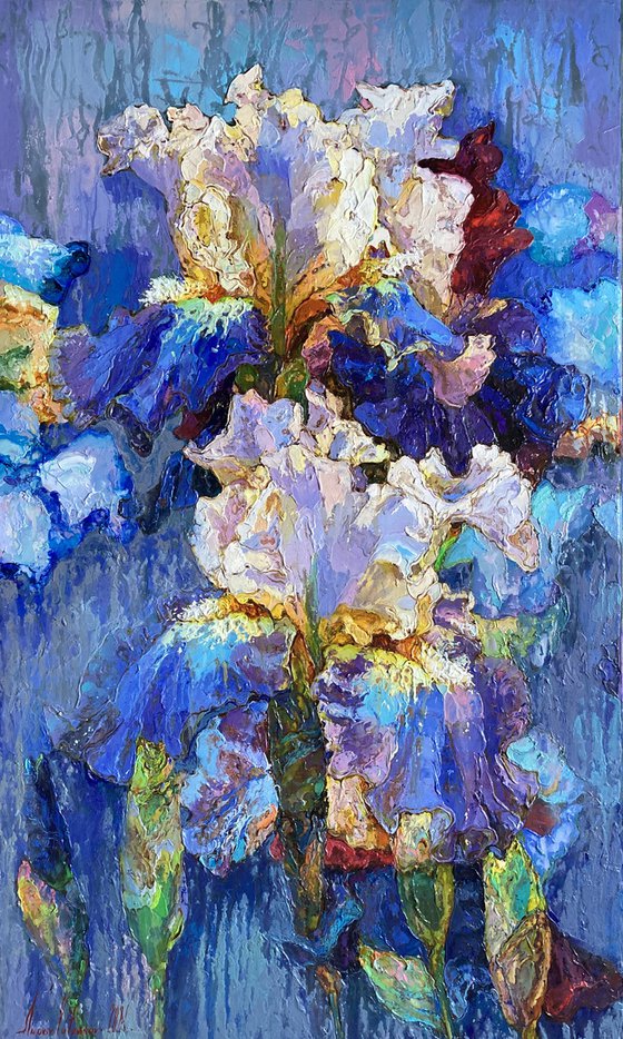 Iris on a blue background.