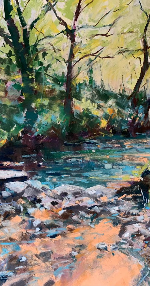 Morning Light on Woodland Stream by Andrew Moodie