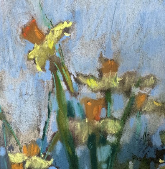 Spring flowers. Daffodils