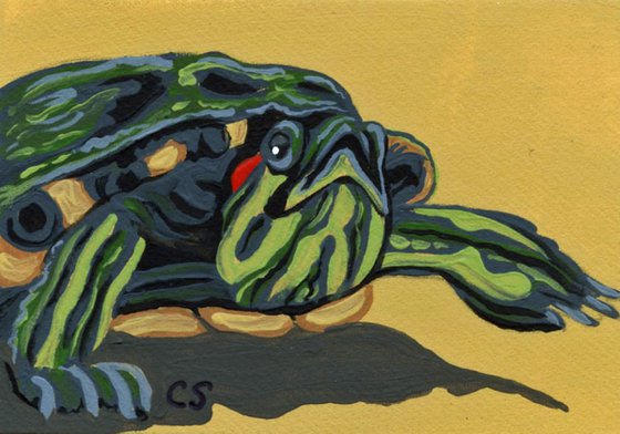 ACEO ATC Original Miniature Painting Red Ear Slider Turtle Pet Art-Carla Smale