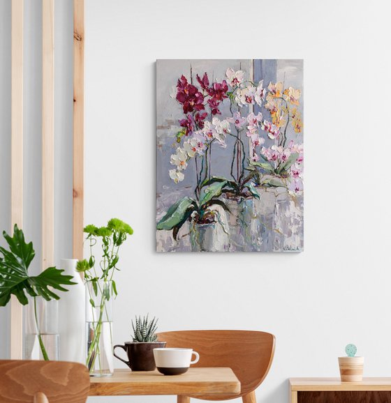 Blooming Colorful Orchids