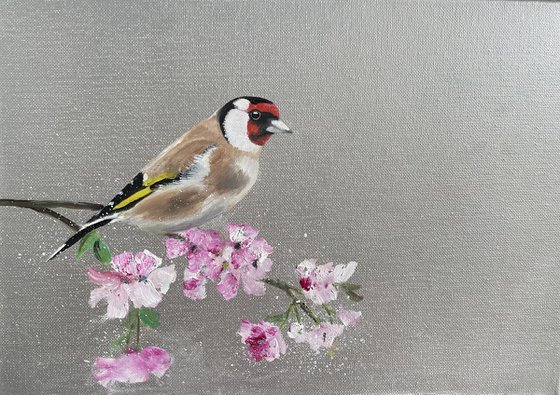 Goldfinch on Cherry Blossom