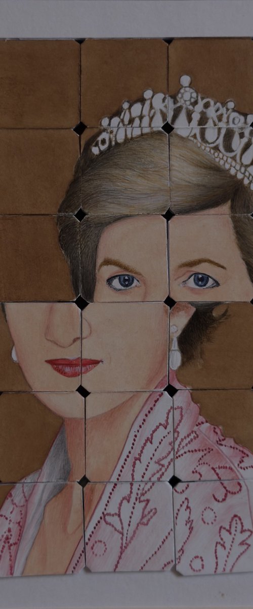 Lady Diana by Amjad ali Talpur